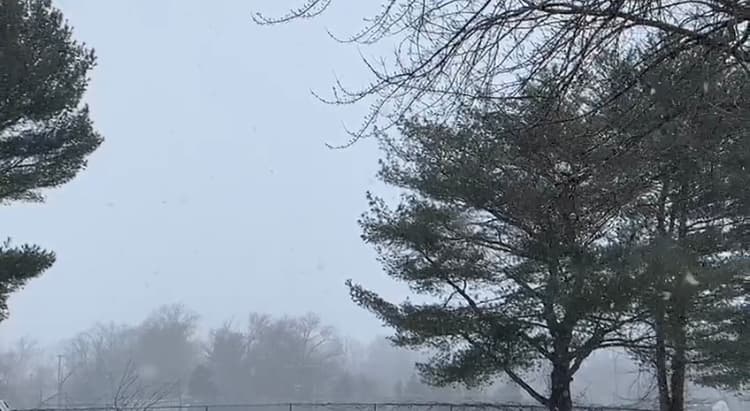Durante esa ventana del mediodía de intensas tasas de nevadas, la visibilidad se redujo a casi cero y las condiciones de la carretera se volvieron difíciles a potencialmente peligrosas.
