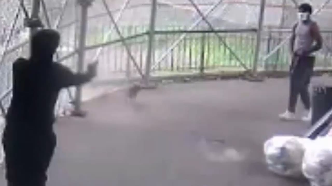 Hombre inocente es baleado después que sujeto dispara a otro en una disputa en Manhattan