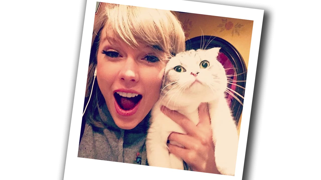 Taylor comenzó su carrera a los 14 años.