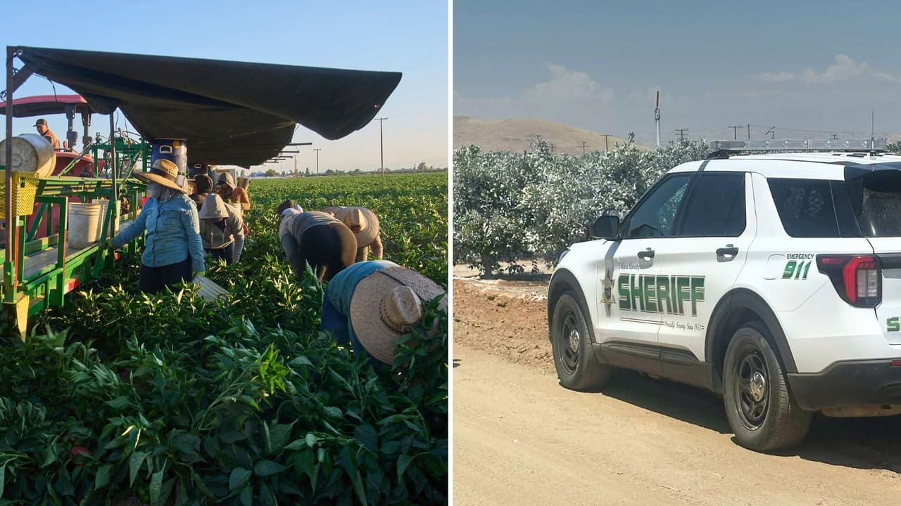 Campesino es víctima de un robo a mano armada en una zona agrícola del Valle Central de California