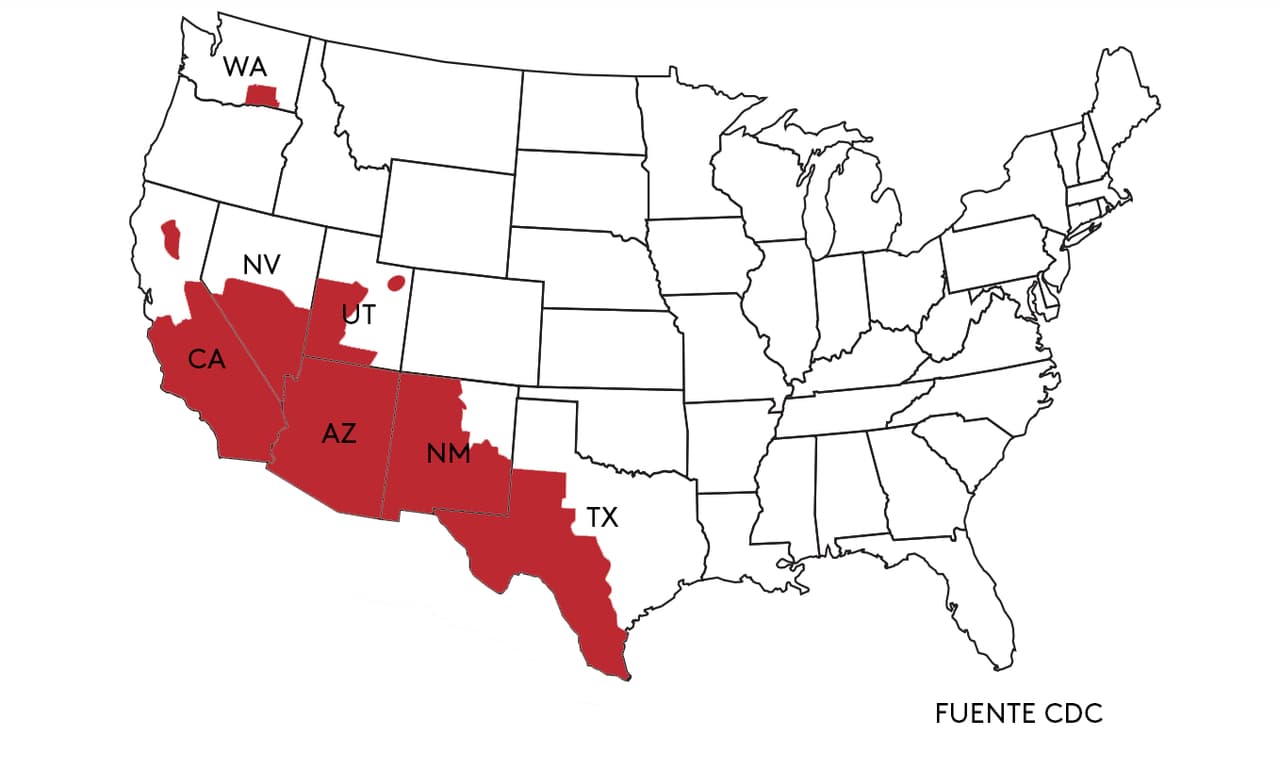 Mueren 200 personas al año por peligroso hongo común en California y Arizona
