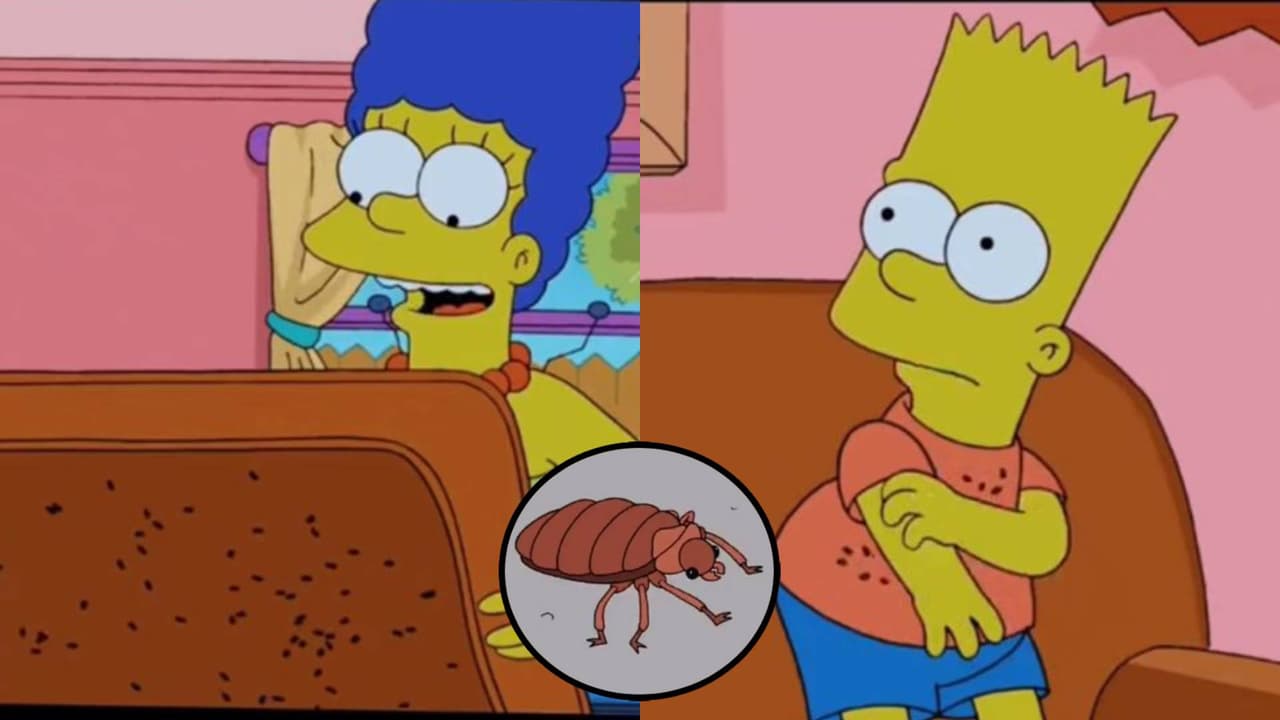 ¡Lo hicieron de nuevo! Los Simpson predijeron la plaga de chinches que se extiende por el mundo