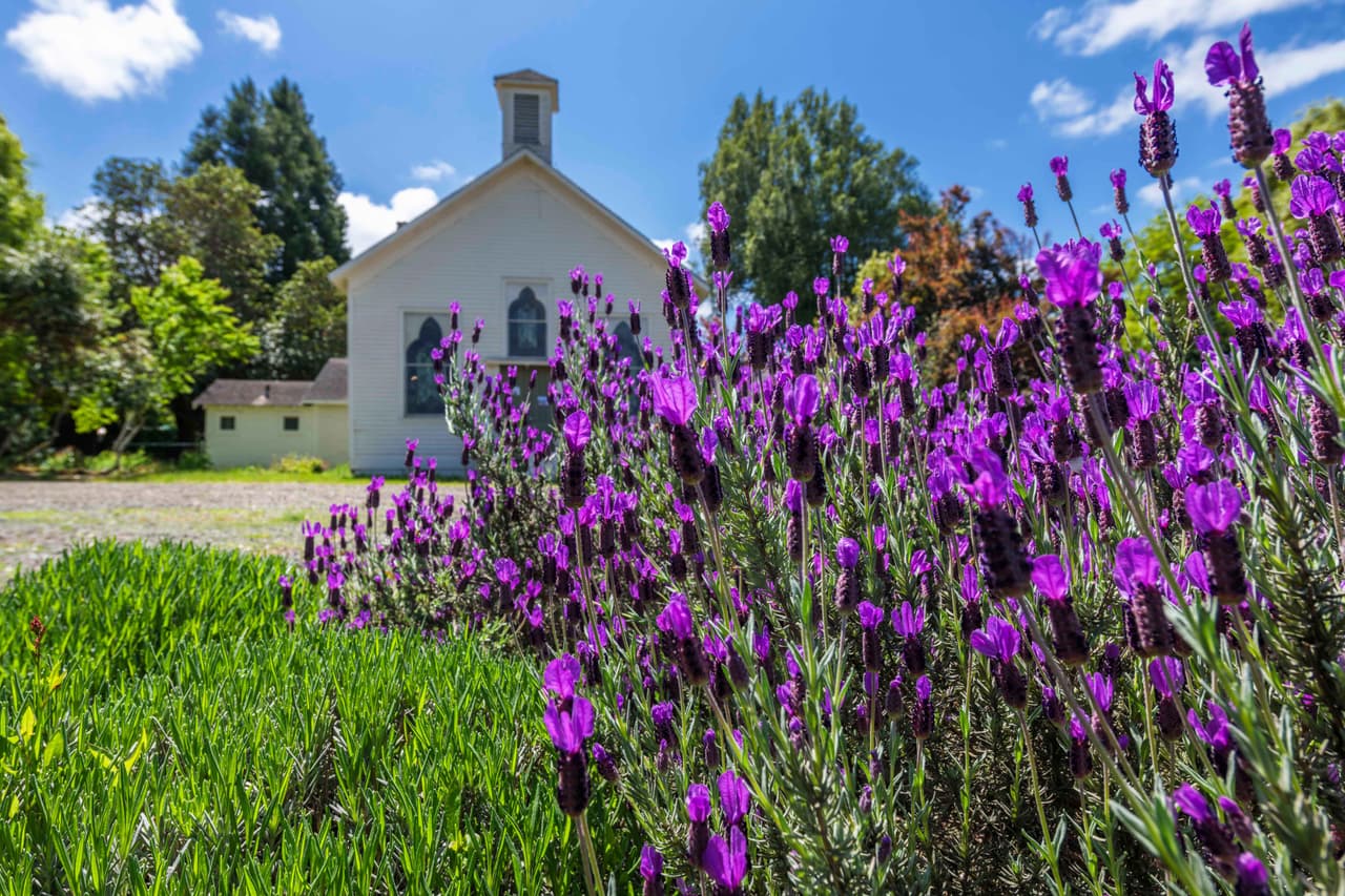 <b>Boonville, California</b>
<br>
<br>Población. 947 habitantes.
<br>
<br>Este pueblito se encuentra en el condado de Mendocino, en el norte de California, lo que significa que tiene un clima agradable. Está en un valle pintoresco que tiene bodegas y viñedos, y también está cerca del mar.
<br>