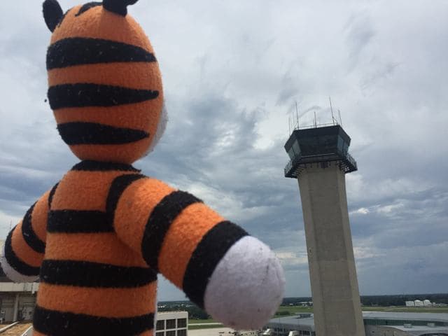 Hobbes mira la Torre de Control del Aeropuerto de Tampa. Quizás estaba preocupado por que parece que iba a llover.