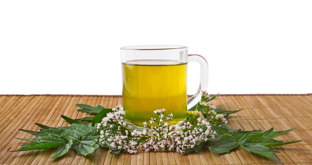 Además del típico té, puedes tener todo este tipo de plantas en tu casa, sea plantados en el jardín o en macetas, como una manera de traerte protección a tu hogar y tu persona.