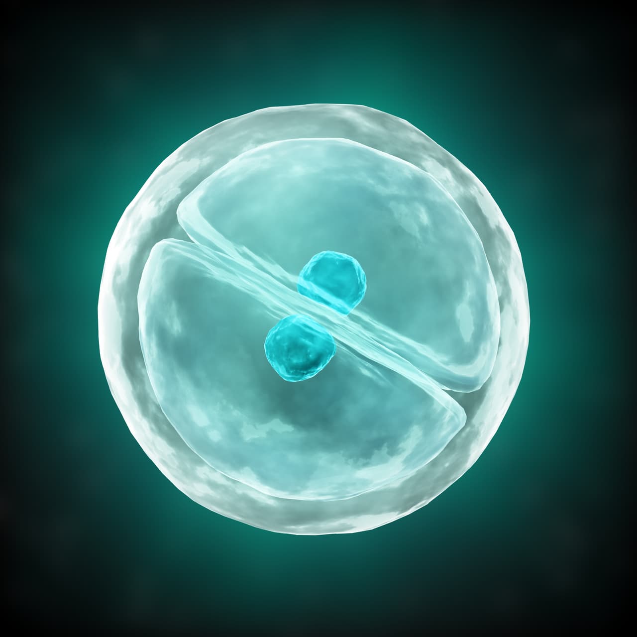 Ahora solo faltaría comprobar si todos los procesos biológicos en este cuerpo celeste se completan.