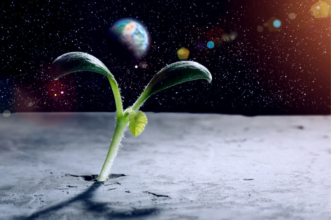 ¿Te imaginas como sería la vida en ‘Europa’?