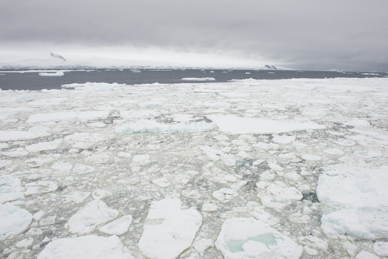 Después procedieron a estudiar el balance químico que estos océanos podrían tener, calculando que podrían ser muy similares a los de la Tierra, con el suficiente oxigeno e hidrógeno para que la vida sea posible.
