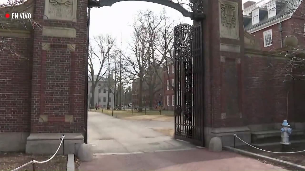 ¿Revive el pleito de la administración Trump y Harvard? Gobierno presenta nueva demanda multimillonaria