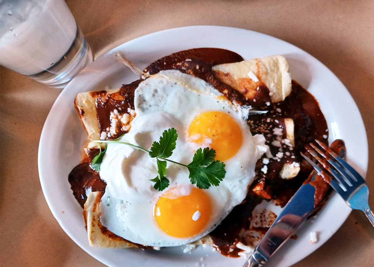 <b>Una versión de mole fusión</b>
<br>Azul 18 
<br>1236 W 18th St. Chicago, IL 60608
<br>(312) 285-2964 
<br>Mar.- Vie. 7 am-3 pm 
<br>Sáb.- Lun. 8 am-3 pm 
<br>azul18chicago.com
<br>Tipo de pago: Crédito/débito y efectivo
<br>Precio de crepas de pollo con mole: $15.75
<br>
<br>Mezcla de comida mexicana y americana —que crea una fusión de culturas y sabores para atraer a todo tipo de clientela, Azul 18 es un restaurante “brunch” ubicado en el corazón de Pilsen. El pequeño local con techos azules crea un ambiente acogedor y los camareros son muy atentos. 
<br>
<br>Dentro de su americanizado menú, Azul 18 incluye un platillo que consiste en tres crepas rellenas de pollo cubiertas con mole rojo, y dos huevos a su gusto. El mole está un poco picoso y las crepas delgadas y suaves. El platillo cuesta $15.75 y tratándose de una opción de desayuno va muy bien con el café, muy popular del restaurante, por $2.75 más. El menú también incluye sopas del día, entre ellas la sopa de tortilla. 
<br>
<br>Como el restaurante se encuentra al frente de la iglesia San Procopio se llena muy rápido con gente saliendo de misa. Si planea ir un domingo le recomendamos que vaya temprano o preparado para hacer una cola de espera. 
<br>
<i>—Mena Servín</i>
<br>