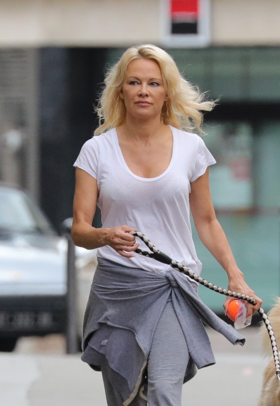 Pamela Anderson 
<b>rebajó el precio del alquiler mensual a 40,000 dólares </b>pero 
<b>solo a quien se comprometa</b> a firmar 
<b>un contrato de un año</b> de extensión.