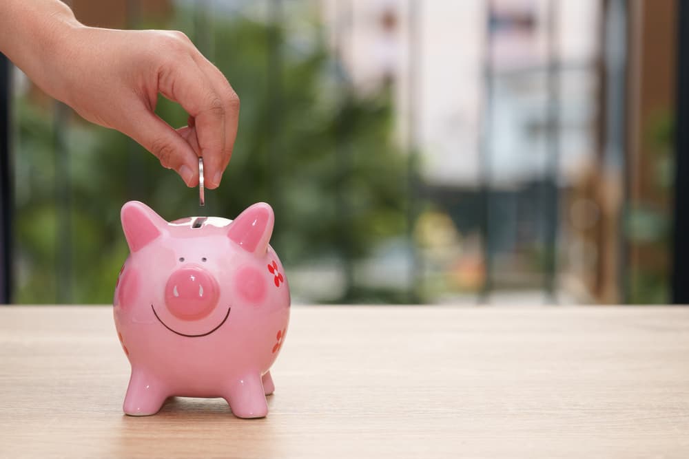 <b>Signos de tierra </b>(Tauro, Virgo y Capricornio) 
<br>
<b>Lema del equinoccio:</b> ahorro
<br>