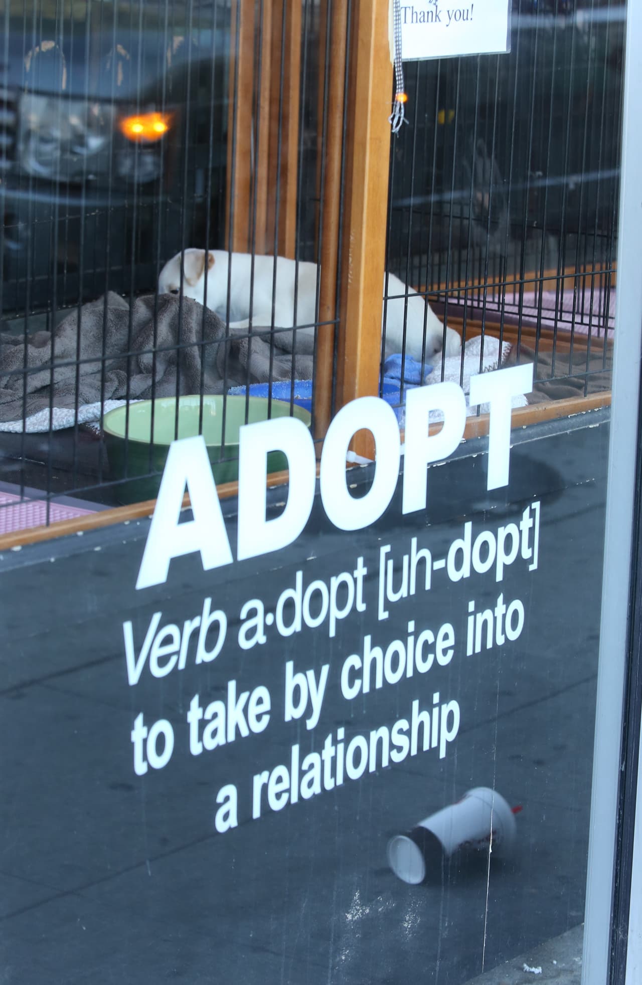 ¡Puede ser posible!