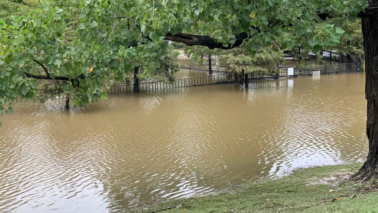 Así de inundado seguía el Johnny Steele dog park este miércoles en el centro de Houston.