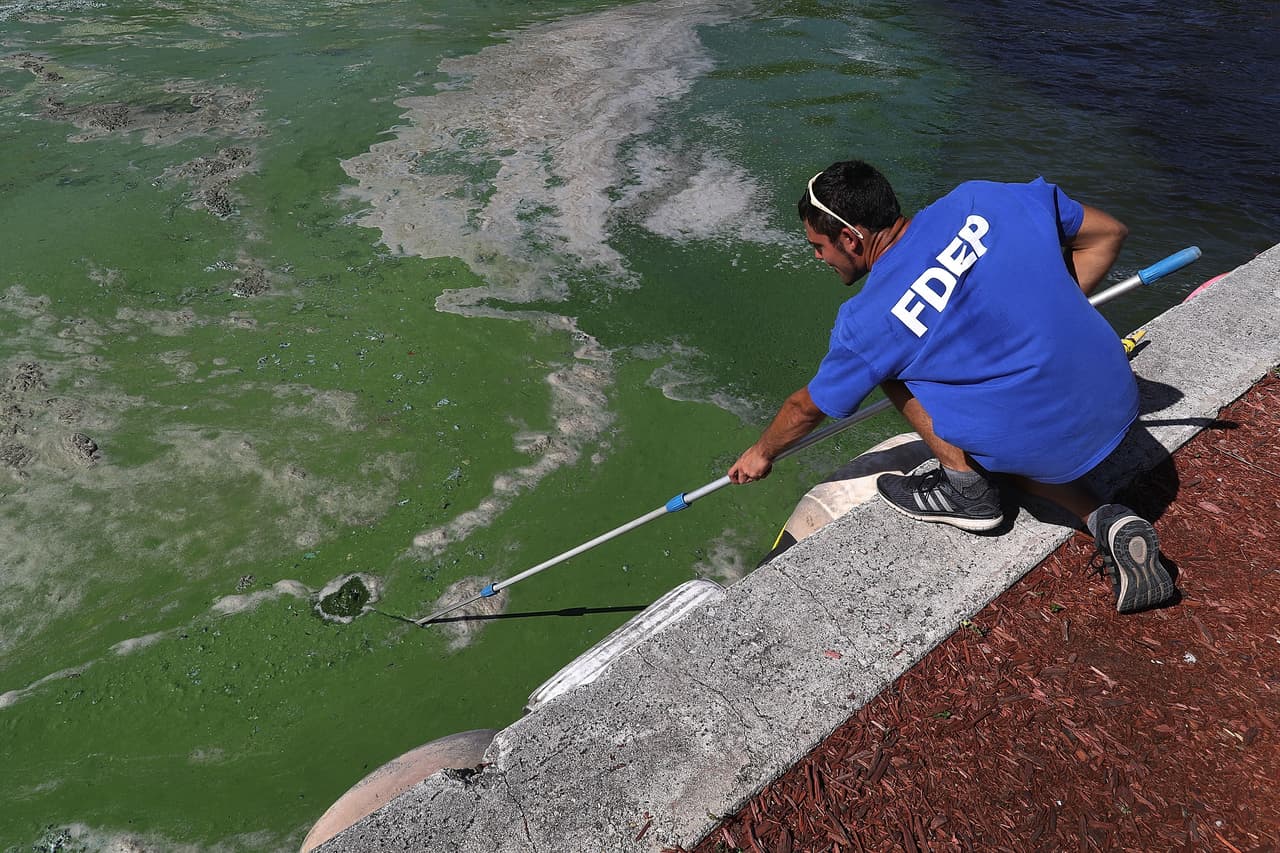 Florida apela rechazo del gobierno federal de declarar estado de emergencia por algas tóxicas