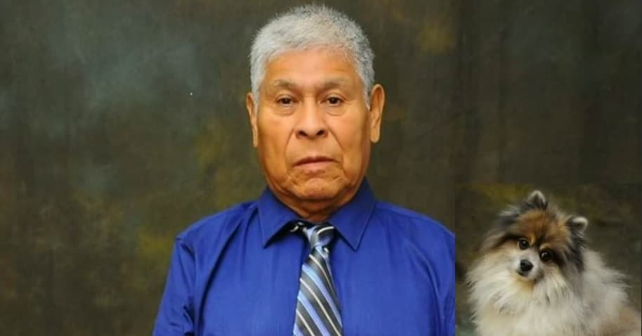 Dos perros pitbull atacan a un anciano y destrozan a su mascota en Los Ángeles