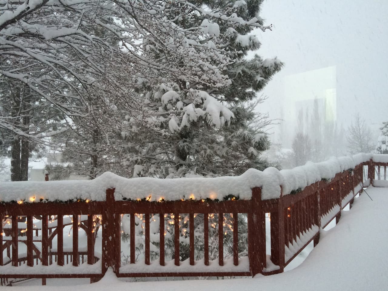 Desde este miércoles, no ha dejado de nevar en Flagstaff, cubriendo de blanco por completo la ciudad. Este jueves se esperan de 3 a 8 pulgadas de nieve.