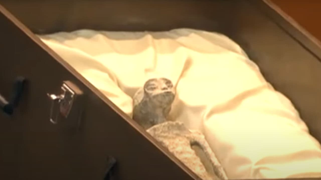 "Estamos frente a una evidencia física, a diferencia de una evidencia fotográfica. Aquí la tienen para cualquiera que quiera accedar a ella y hacer su propia lectura", exhortó el periodista y ufólogo Jaime Maussan.