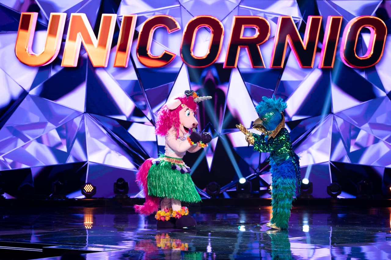 Mapache y Unicornio fueron rescatados por los 'investigadores'.