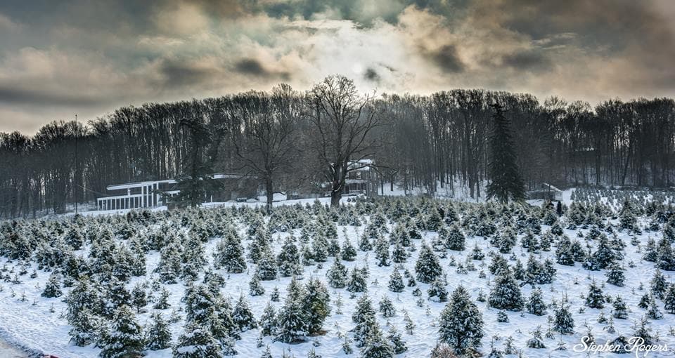 <b><a href="https://www.wigginschristmastrees.com/">Wiggins Christmas Tree Farm:</a></b>
<a href="https://www.wigginschristmastrees.com/"> </a>Haga un viaje a una de las dos granjas familiares de los Wiggins. La ubicación de West Chester ofrece abetos de Douglas con un promedio de siete pies de altura, y la ubicación de Cochranville tiene árboles que varían de dos a 10 pies de altura. 📍 
<a href="https://goo.gl/maps/1yuzPSJYmVdi8gPe8">1301 West Chester Pike, West Chester</a>, y 
<a href="https://goo.gl/maps/D5qPsjG1veuW5rkA7">2176 Gap Newport Pike, Cochranville</a>