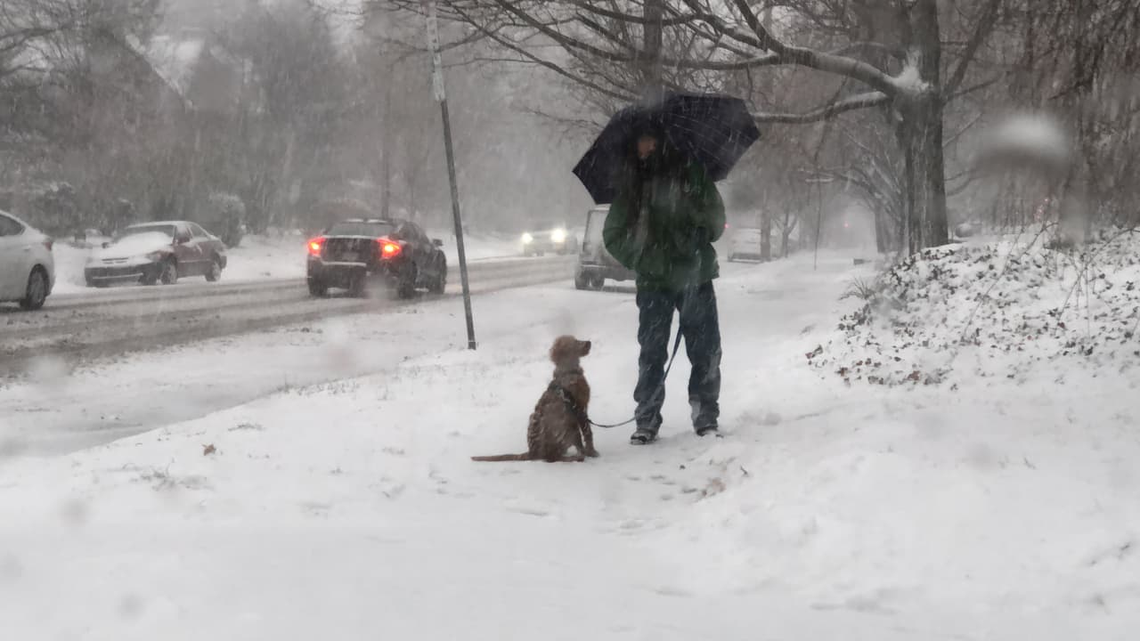 La primera nevada significativa en Filadelfia fue aprovechada por algunos para salir a pasear con sus mascotas.
