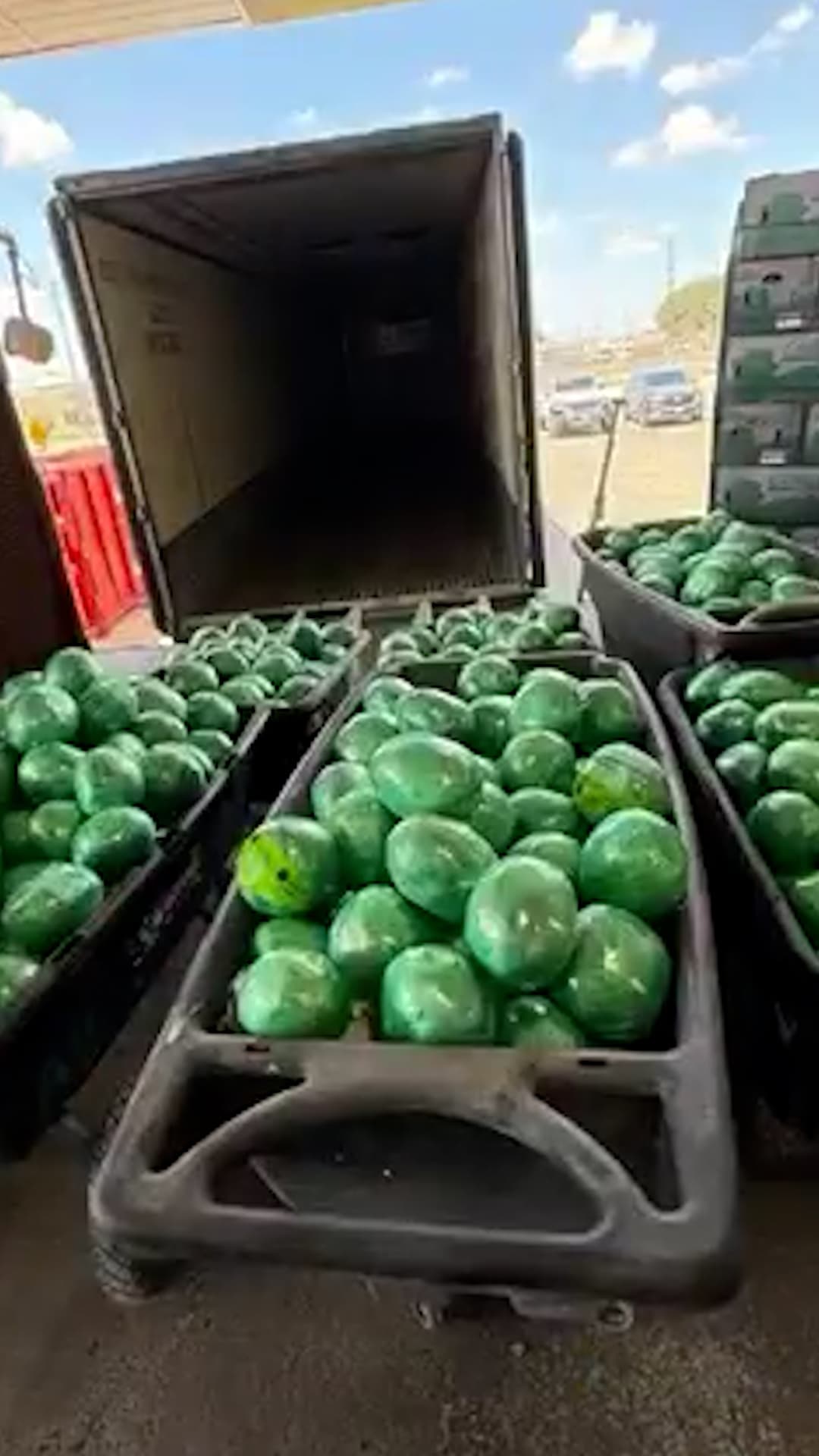 Ocultan metanfetamina en cargamento de repollo