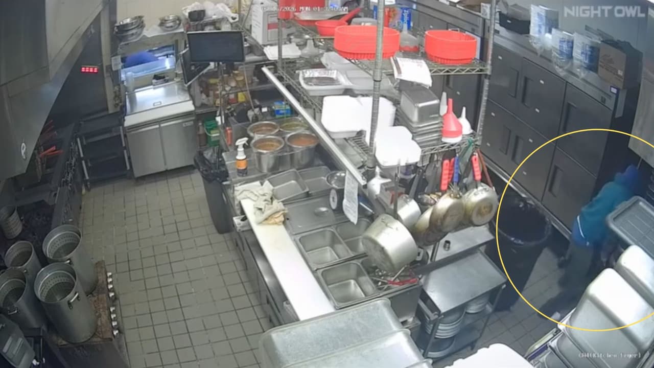 <h3 class="cms-H3-H3">Cómo reducir el riesgo de robos</h3> Autoridades locales recomiendan 
<b>medidas básicas para negocios:</b>
<br>👉🏻 
<b>Activar</b> sistemas de alarma y mantenerlos operativos. 
<br>👉🏻 
<b>Mantener</b> iluminación exterior en accesos y áreas traseras. 
<br>👉🏻 
<b>No dejar </b>efectivo en el local durante la noche. 
<br>👉🏻 
<b>Reforzar</b> puertas, ventanas y puntos vulnerables. 
<br>👉🏻 
<b>Usar </b>cámaras visibles que cubran entradas y zonas clave.