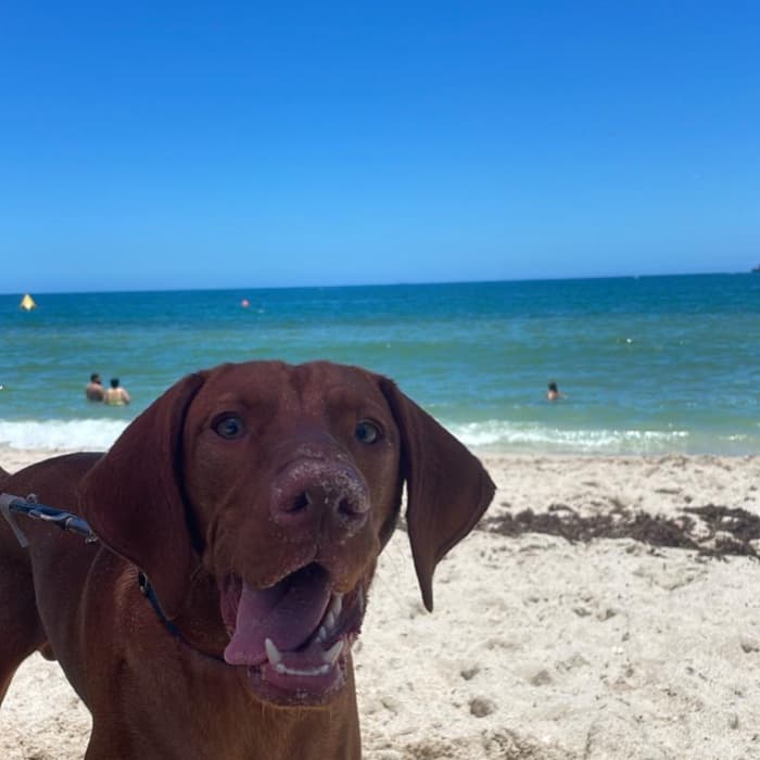 "Nuestro querido Ron", nos dice Patricia Cape.