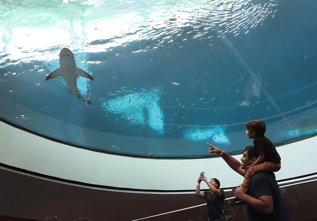 Miami tiene un nuevo museo que hará que tus hijos sueñen con ser científicos