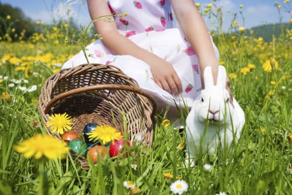 Organiza una 'egg hunt' con toda tu familia
