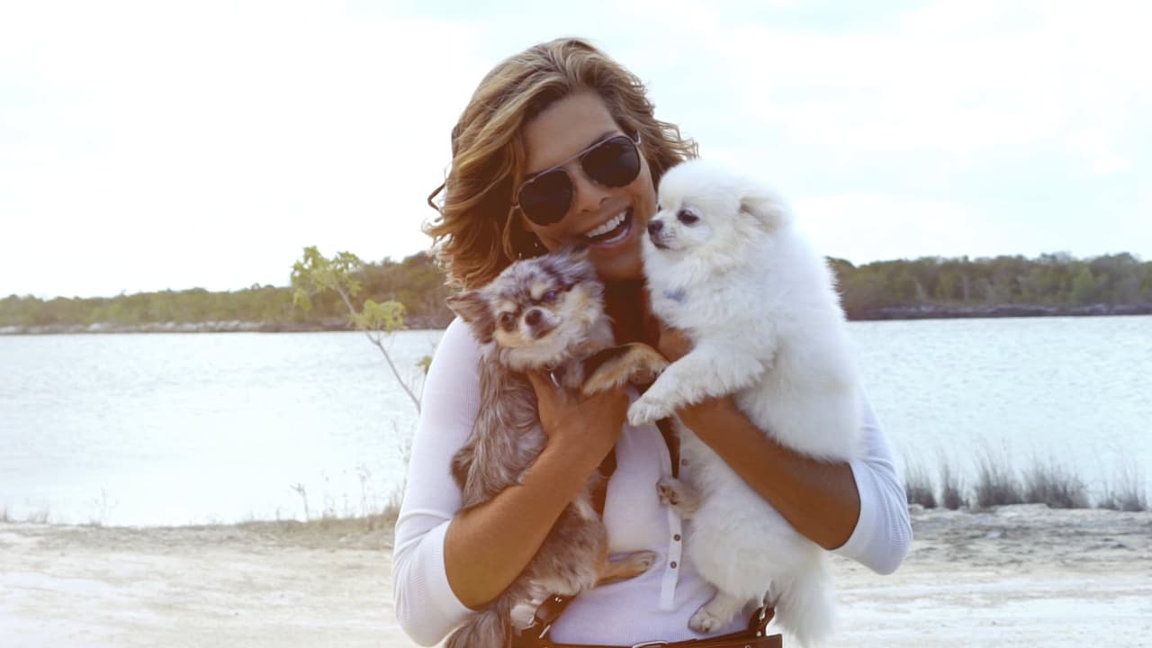 Ellas son Oli y Milla, una chihuahua de pelo largo y una pomerania blanca.