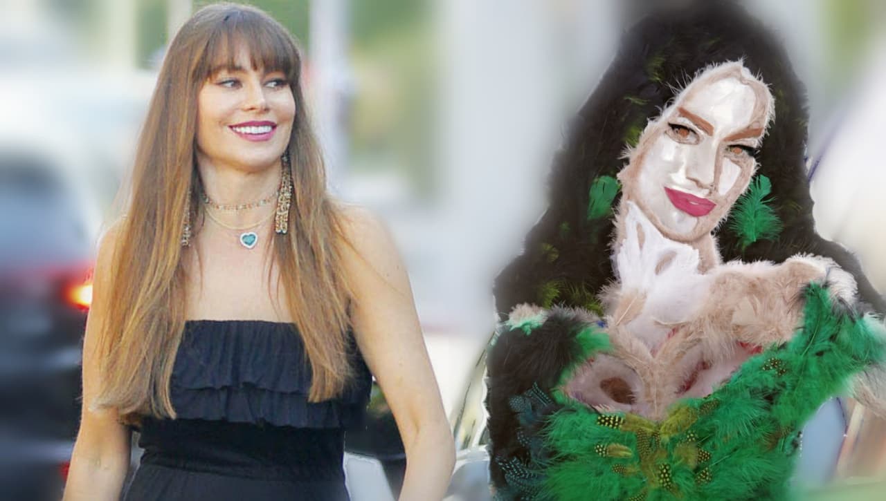 El renacer artístico de Sofía Vergara, después de un destructivo ataque de pulgas