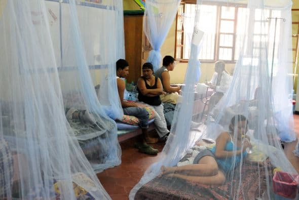 La jefa del Programa Nacional de Dengue del Ministerio de Salud, Roxana Araujo, precisó a periodistas las consecuencias que ha tenído la propagación del virus del dengue.