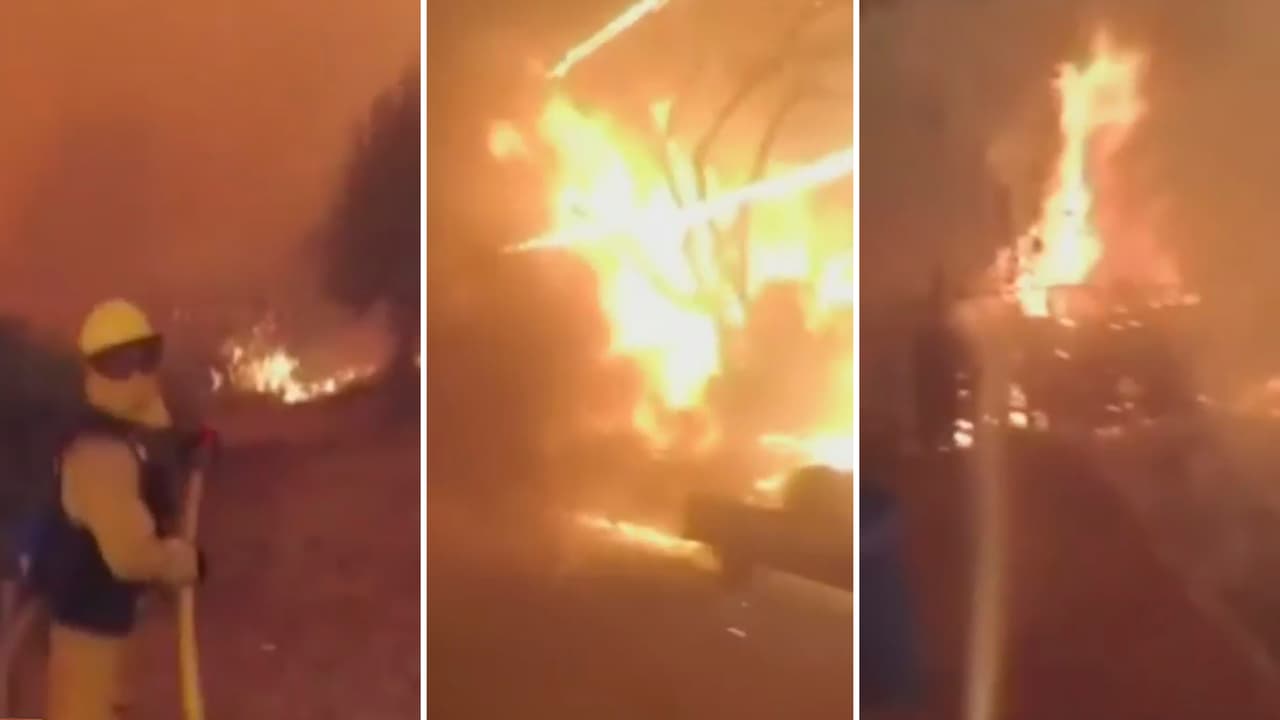 En la costa oeste, el fuego ha consumido millones de acres, y las alarmas se encienden porque, según alertan grupos de conservación ambiental, las llamas están llegando a sectores de bosques reservados para animales en peligro de extinción.