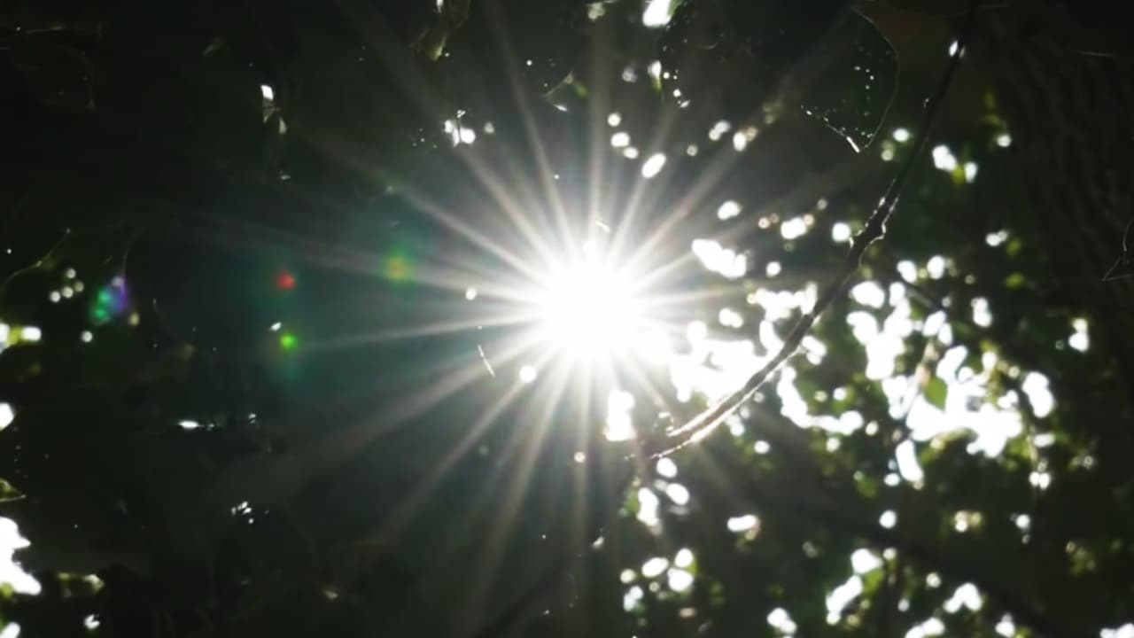 Recomendaciones para enfrentar el calor extremo en Houston: hay centros de enfriamiento disponibles