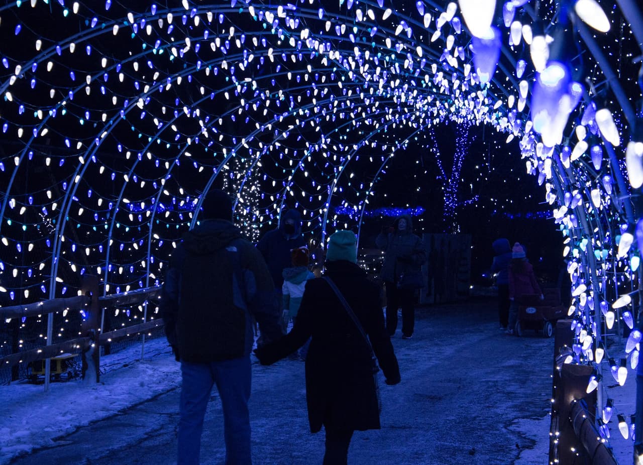 <b><a href="https://www.lvzoo.org/event/winter-light-spectacular/" target="_blank">Winter Lights Spectacular (hasta el 1 de enero)</a></b>: Durante la temporada navideña, el zoológico de Lehigh Valley se transforma en Winter Lights Spectacular. El país de las maravillas invernal cuenta con 1.2 millones de luces e impresionantes exhibiciones navideñas.