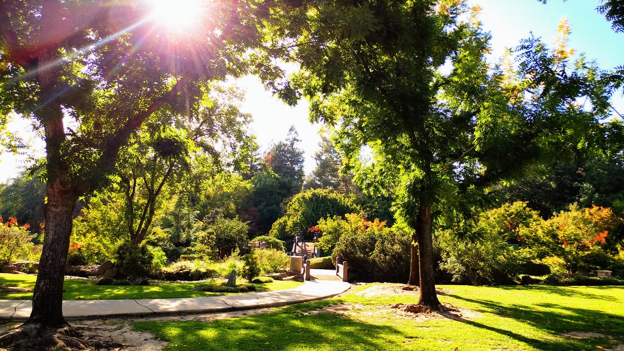 <b>Puesto 18: Fresno, California. 4.68 Puntos. </b>Esta ciudad obtuvo la máxima puntuación en la cantidad de vehículos eléctricos en el mercado, pero es una de las más bajas en la demanda de desinfectante de manos (1.91 puntos).
<b> </b>Obtuvo 2.63 puntos en la variable ‘contaminación del aire con partículas’, uno de los peores desempeños de esta lista (10 puntos representa menos contaminado).