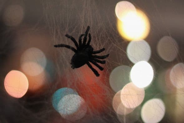 Pero también, por otro lado, la costumbre druida se fue mezclando con la influencia religiosa del tiempo, y el dogma cristiano también aportó varias cosas a la celebración. El primero de noviembre se instaló como el Día de Todos los Santos, lo cual en inglés es "All Hallows' Day", así que la noche anterior, el 31 de octubre, se le dio también el nombre de "All Hallows' Eve".