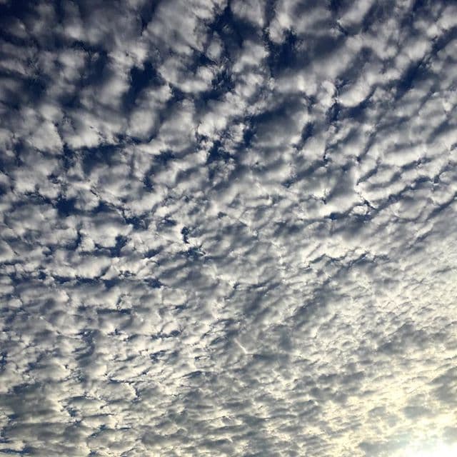 El cielo del área de la bahía fue compartido por decenas de usuarios de redes sociales.