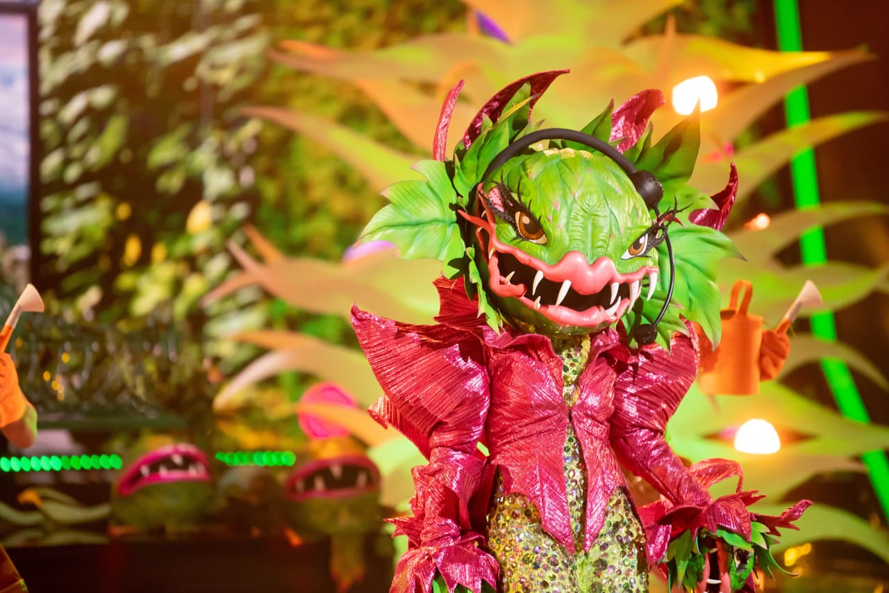 Carnívora fue la segunda en cantar y traer los años 70 al escenario con el tema 'Heart of glass' de Blondie.