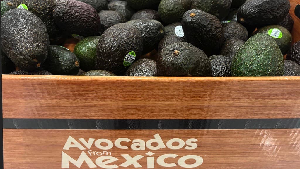 Qué ley usó Trump para imponer aranceles, quién pagará por ellos y otras 6 claves de estas órdenes ejecutivas 