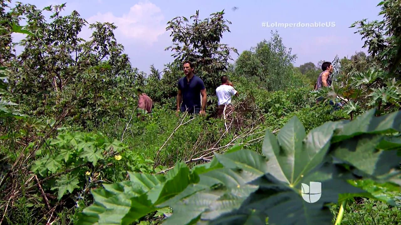 ¿Recuerdas la mina donde te llevó hace poco?