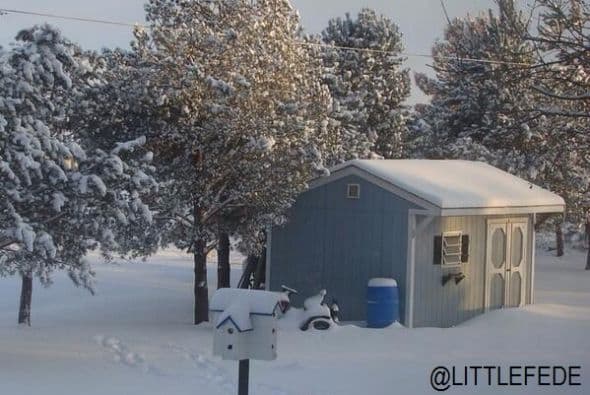El mismo usuario compartió con Univision otra imagen, esta vez es de una pintoresca casa con árboles nevados alrededor.