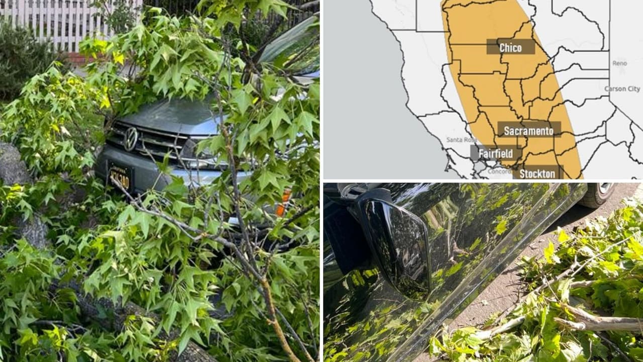 Persiste la alerta de bandera roja por incendio: fuertes vientos causan daños en Sacramento