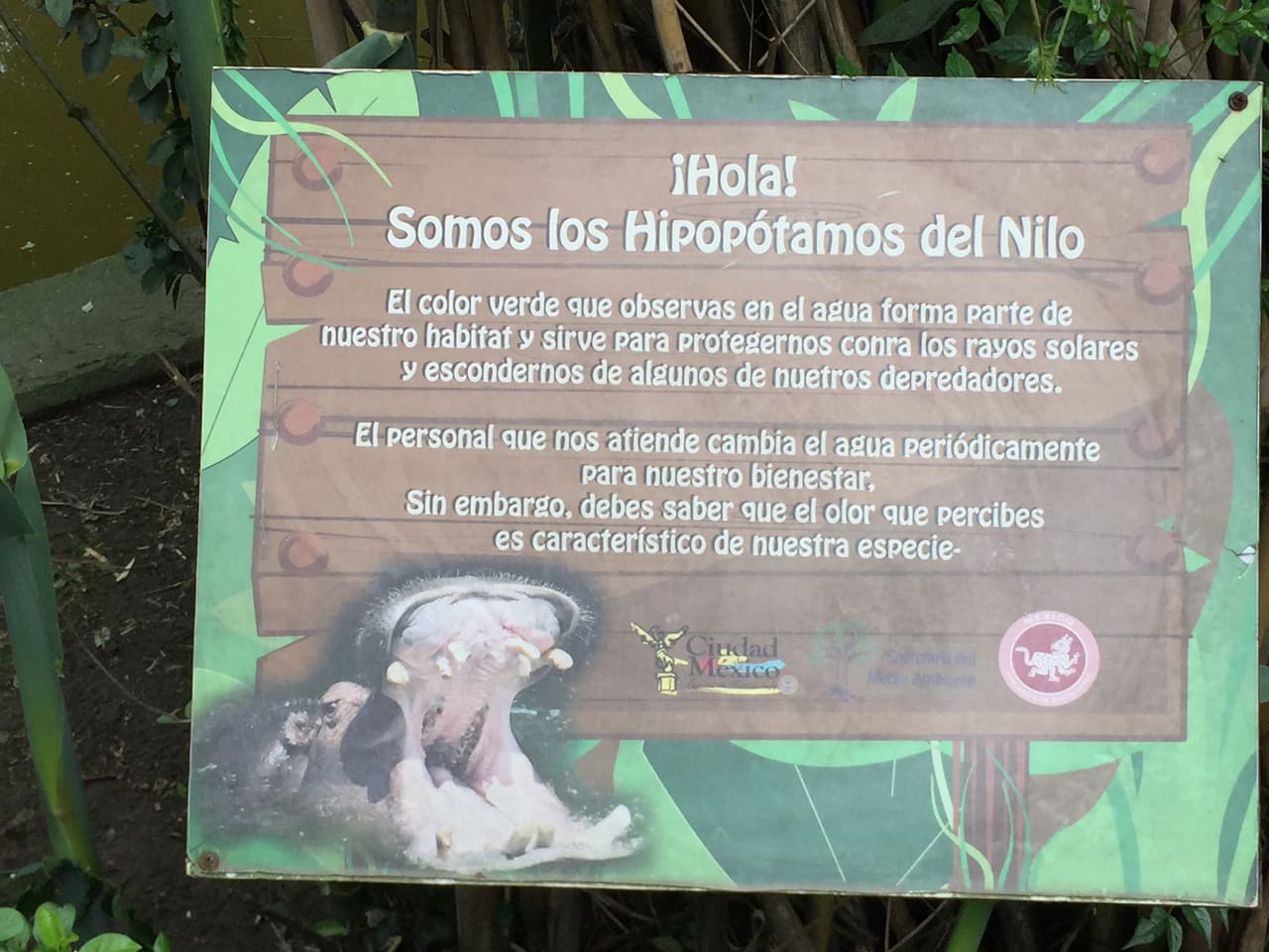 Aquí la explicación oficial.