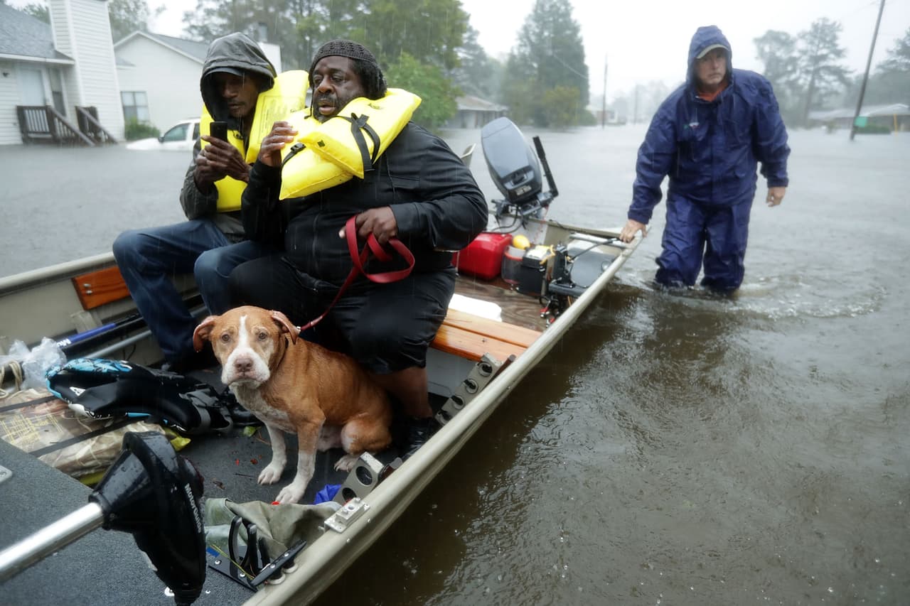 Residentes de New Bern con su perro son rescatados de su hogar inundado. En cada nuevo huracán innumerables mascotas mueren o se separan de sus dueños en medio de una inundación.