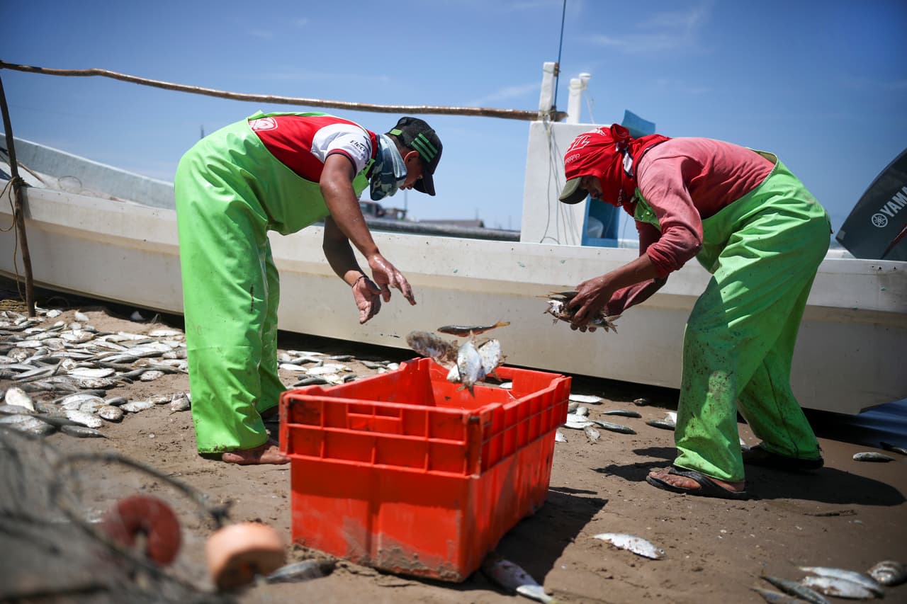 Los pescadores recogen su captura cerca de la orilla de la playa. Hace tres décadas, gente como Álvarez compaginaba este oficio con el cruce de migrantes a 20 dólares por persona para llevarlos hasta Brownsville. Cuando entró la cocaína y las cosas cambiaron, “todo lo empezó a controlar la maña”, dice Álvarez refiriéndose al crimen organizado.