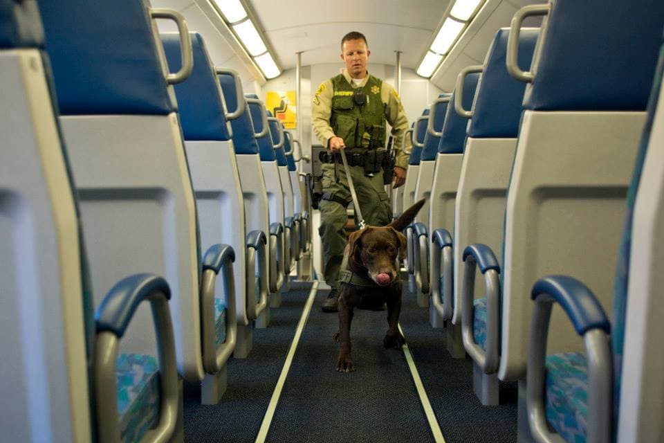 Mujer es detenida por reportar una falsa amenaza de bomba a la policía