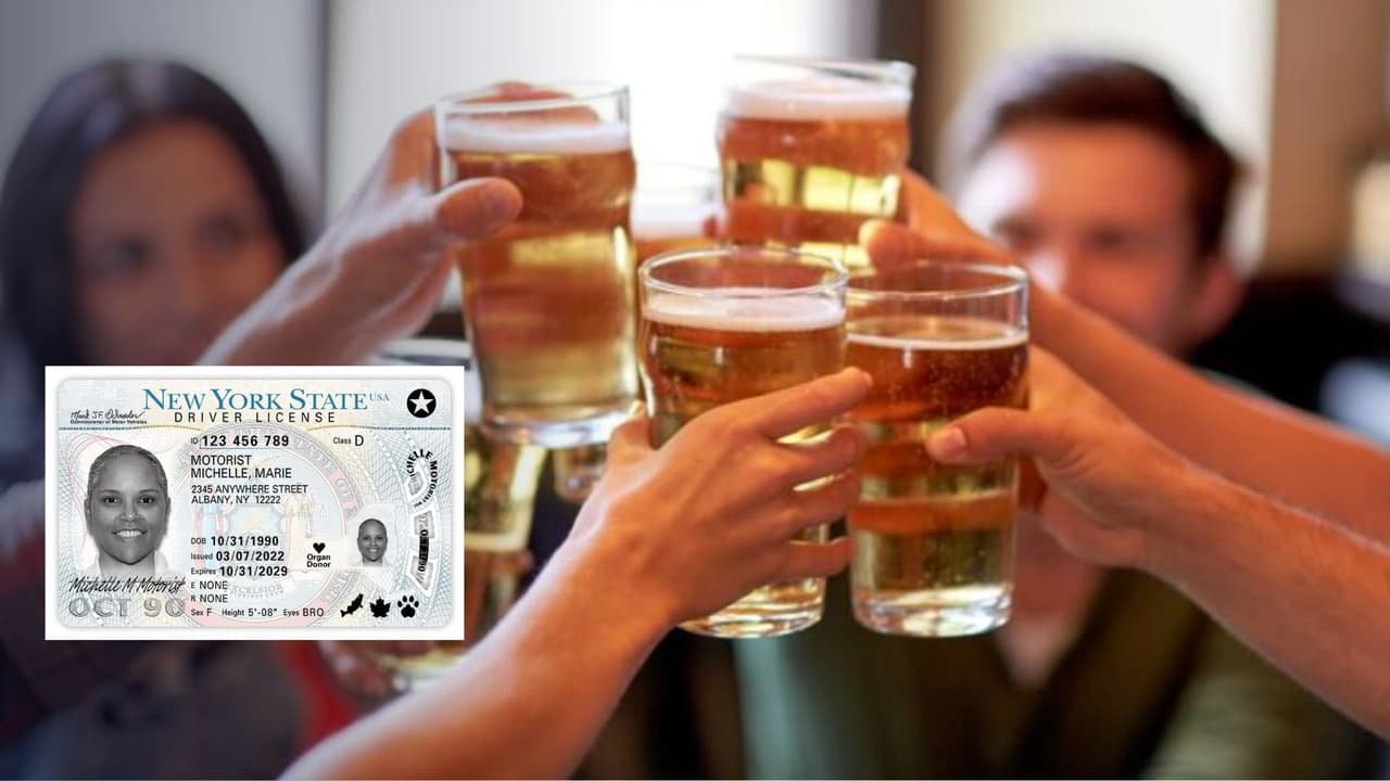 Departamento de Vehículos cita a 312 jóvenes por usar licencias falsas para comprar alcohol