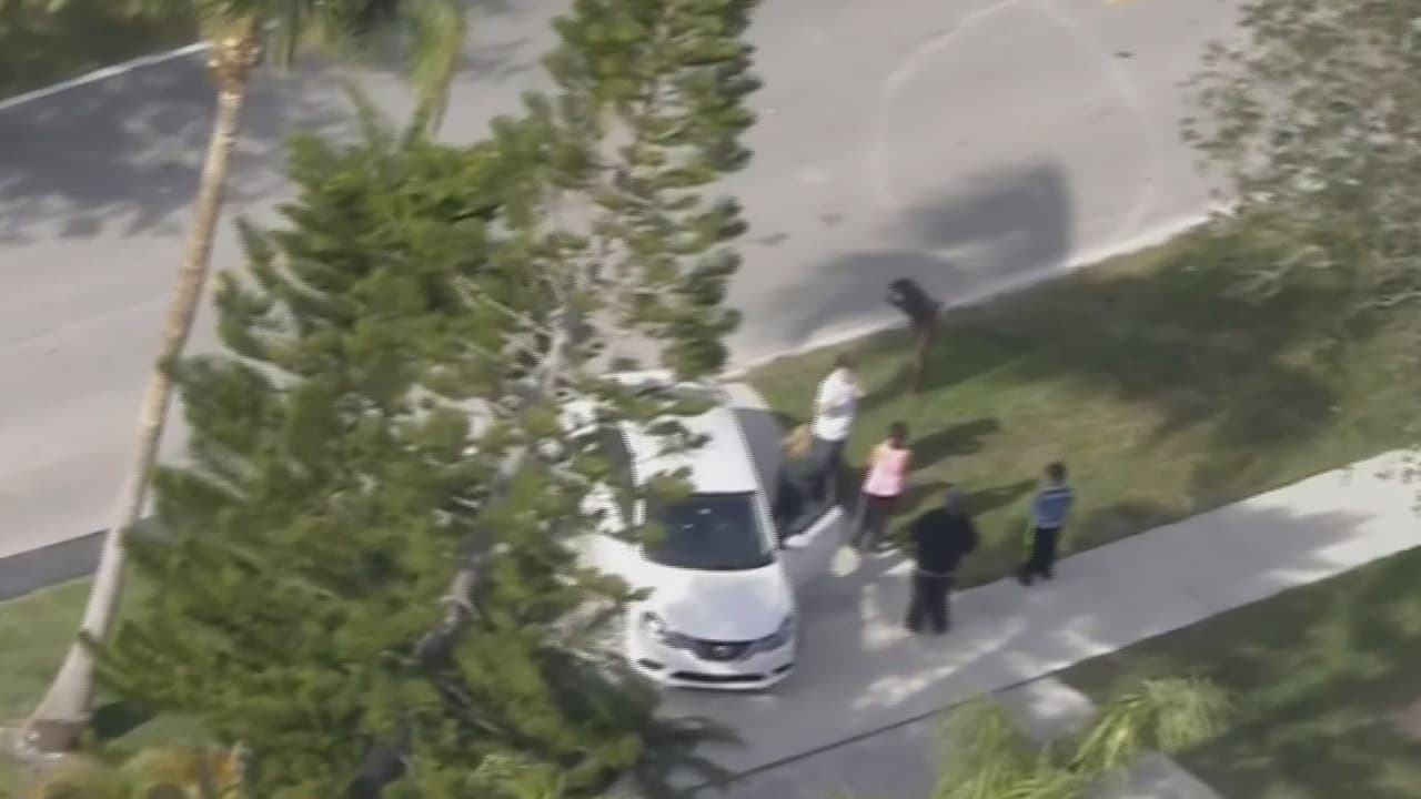 Un niño permanece hospitalizado tras ser atropellado en Hollywood, Florida